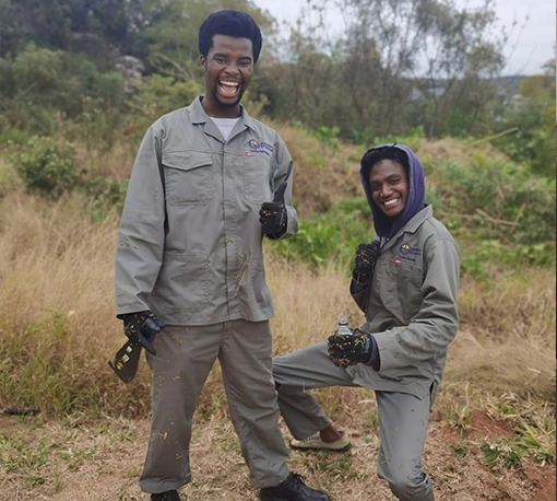 Invasive plant removal project 2